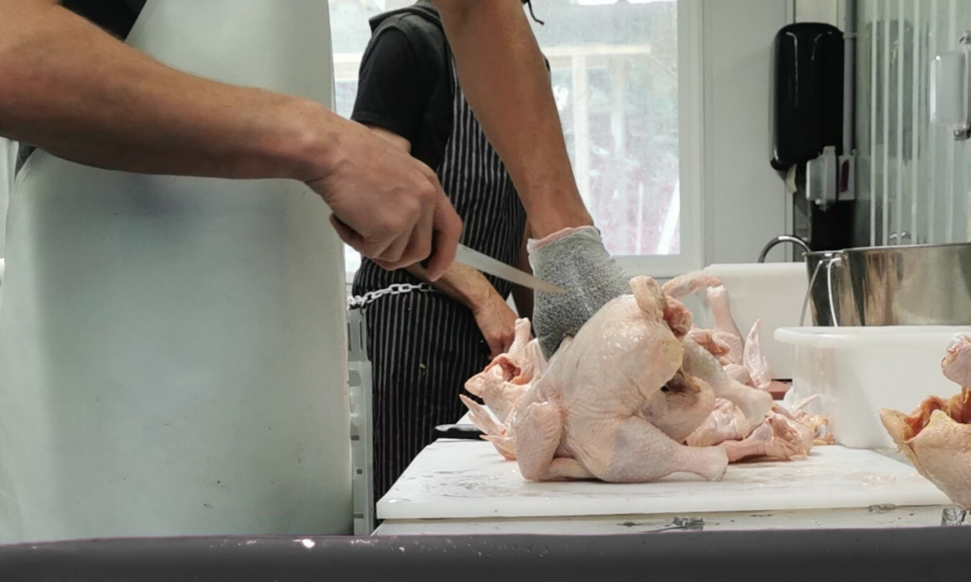 Butchering chicken at Fresh Valley Farms