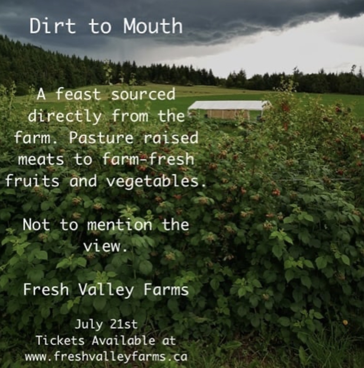 dirt to mouth 2019