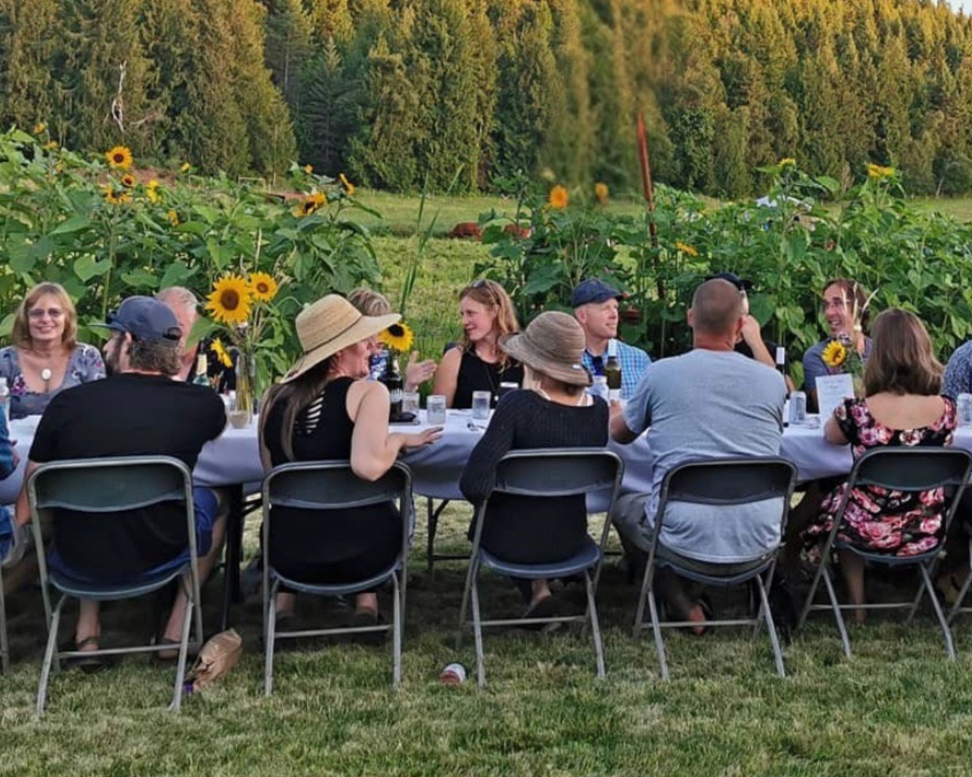 events at fresh valley farms-2