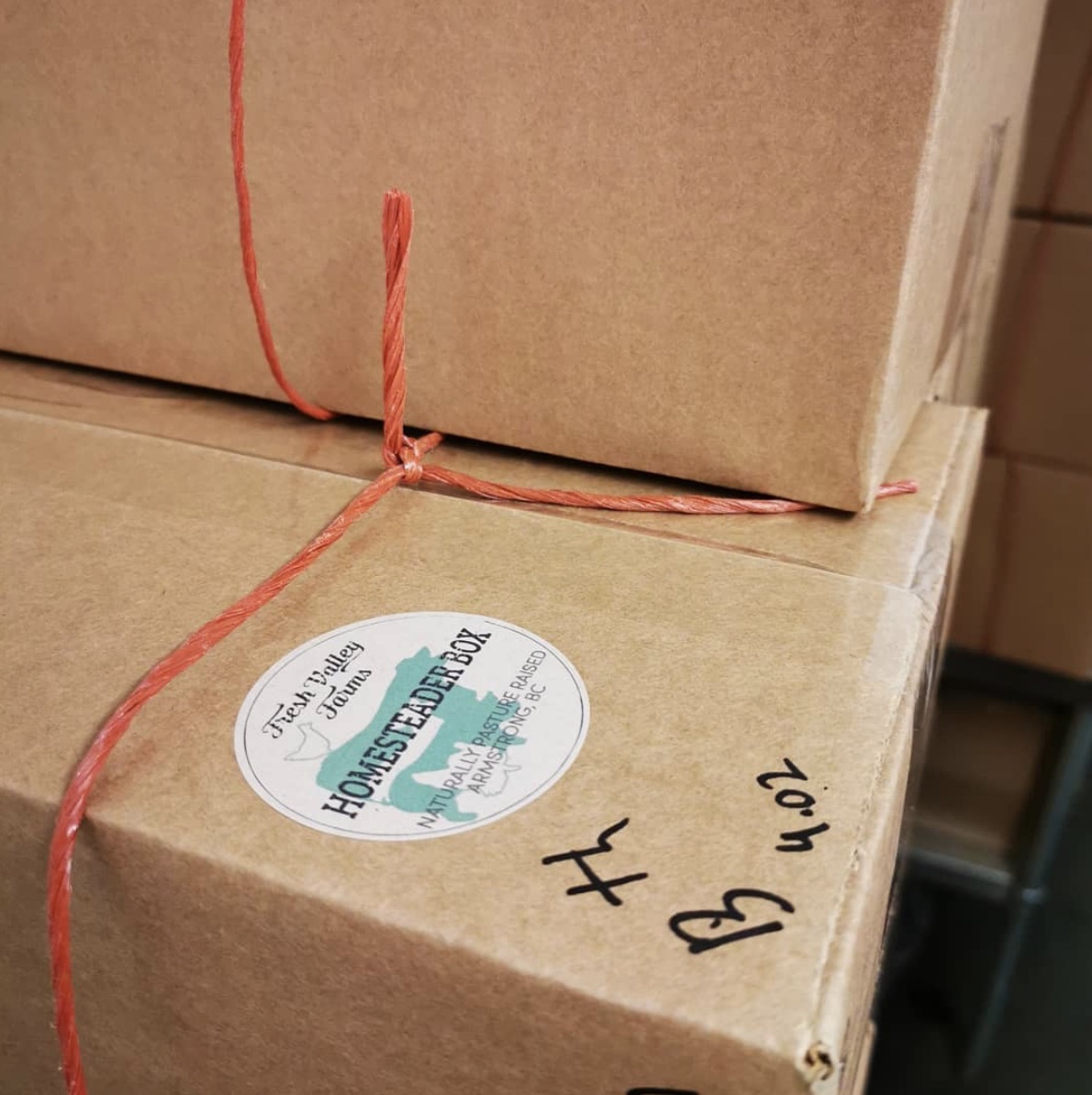 homesteader boxes - monthly meat subscription box