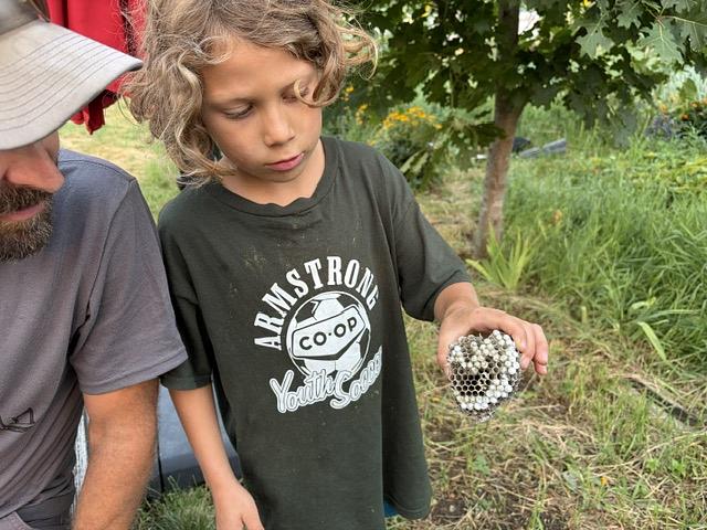 Farming through the Bradley Creek fire